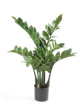 Kunstpflanze zamioculcas