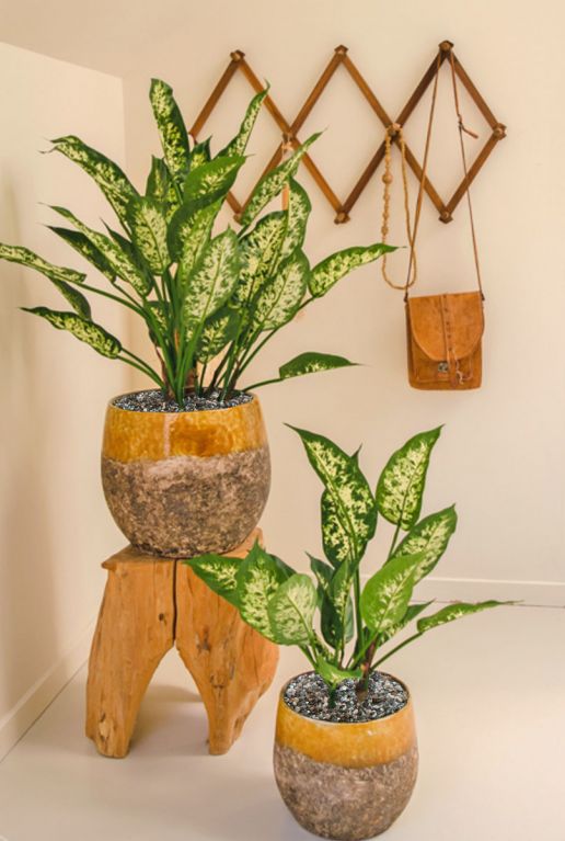 Dieffenbachia kunstplant groen