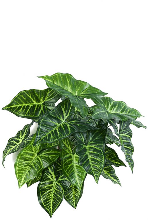 Philodendron kunstplanten 1