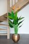 Strelitzia kunstplanten