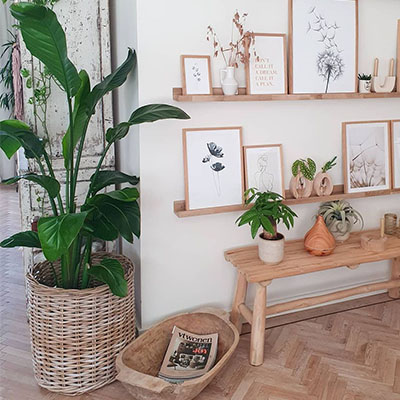 Strelitzia dans le salon du panier